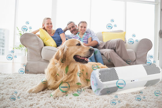 ABS-luchtdesinfector met eigen schimmel doodt H1N1-griepvirussen bacteriën schimmels OEM/ODM