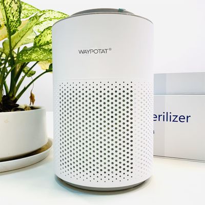 Witte geproduceerde ion luchtreiniger Plasma luchtreiniger Plasma ionisator 55Db