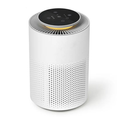 Geproduceerd Ion Plasma Air Filter Met Touch Control HEPA Filter Plasma Air Filtratie