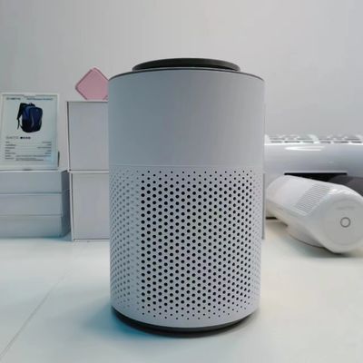 ABS Plasma Luchtreiniger Met Stroombron Elektrisch 6 Watt Luchtreiniger Voor Het Hele Huis En Vochtbevochtiger