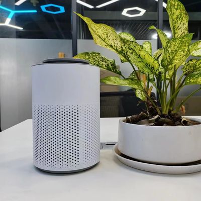 Elektrisch Plasma Pure Air Purifier Draagbare Plasma Sterilisator Met Kinderslot