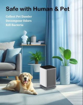 4.2kgs Air Desinfection Purifier Schone en gezonde lucht bij DC12V Spanning met FCC certificeringen