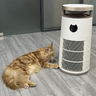 VDETTE HP01 Ozone HEPA Luchtzuiveraar met Timer 220V Wit