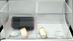 Ruis 27dB Auto Fresh Air Purifier voor frisse en schone lucht